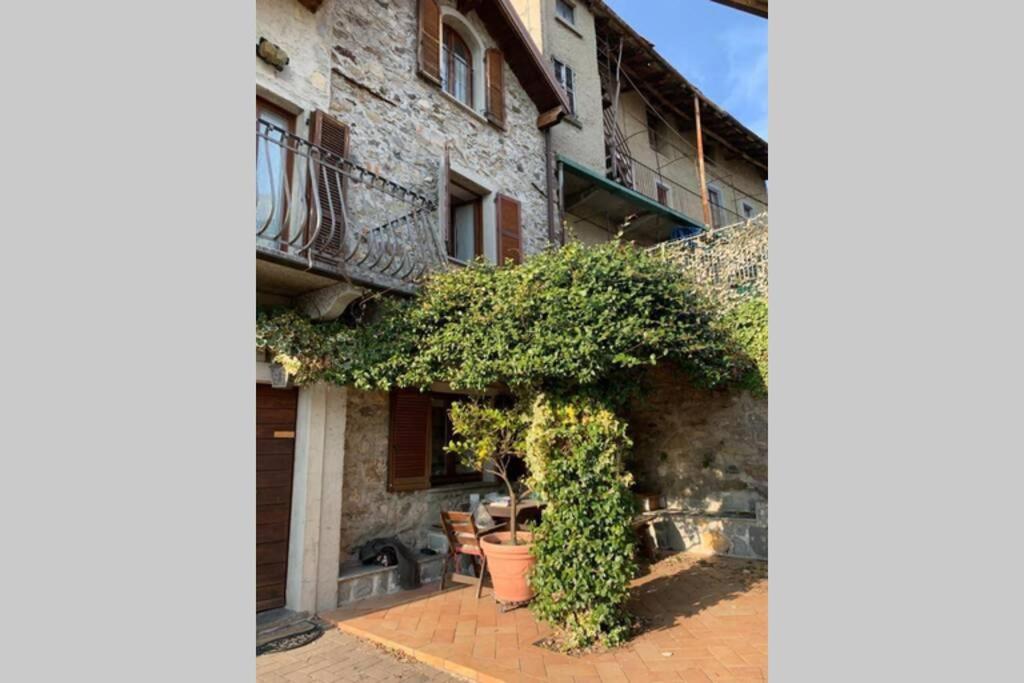 Nido Di Rongio Villa Mandello del Lario Buitenkant foto
