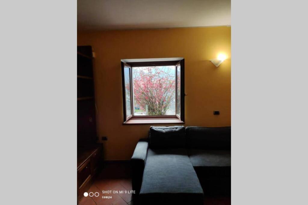 Nido Di Rongio Villa Mandello del Lario Buitenkant foto